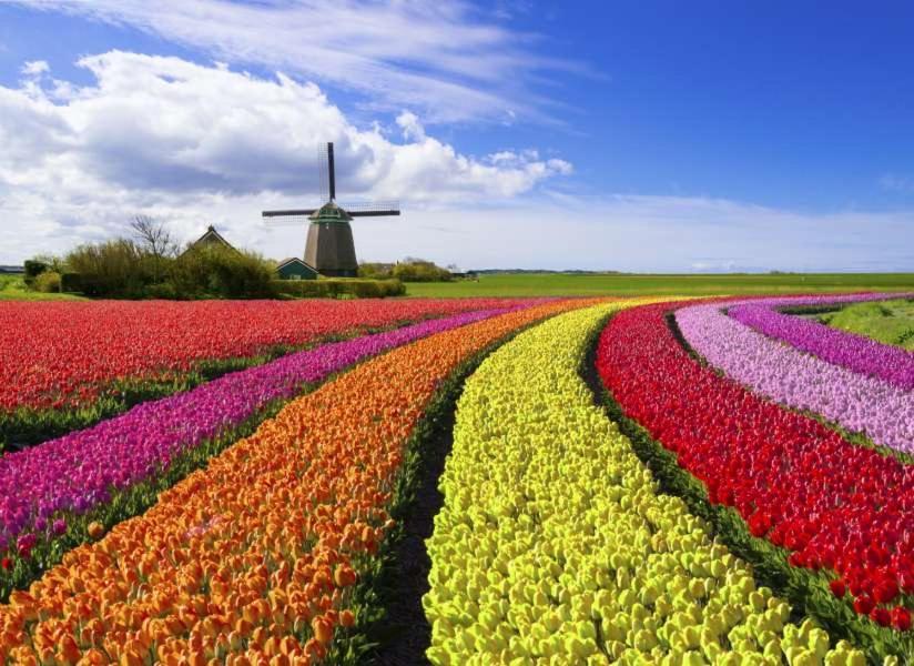 "De Walvisch", Appartement In Authentieke Boerderij Edam Bagian luar foto